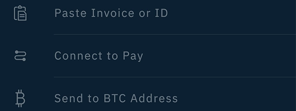 3. Pay with Lightning or POS