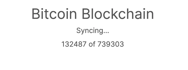 4. Let it sync and secure services