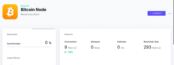 4. Connect your wallet